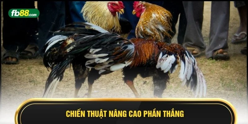 Chiến thuật nâng cao phần thắng