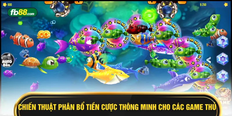 Chiến thuật phân bổ tiền cược thông minh cho các game thủ 