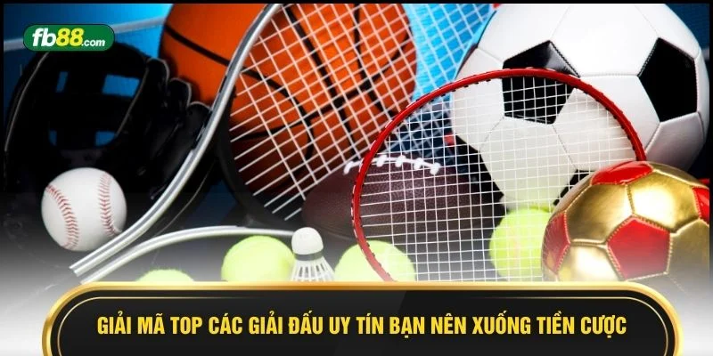 Giải mã top các giải đấu uy tín bạn nên xuống tiền cược