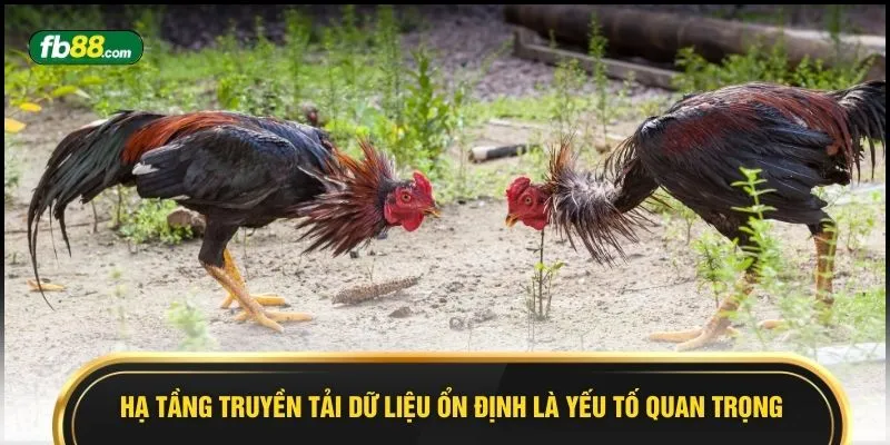 Hạ tầng truyền tải dữ liệu ổn định là yếu tố quan trọng