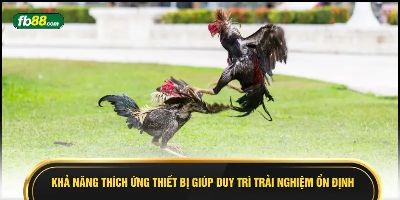 Khả năng thích ứng thiết bị giúp duy trì trải nghiệm ổn định
