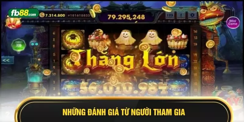 Những đánh giá từ người tham gia