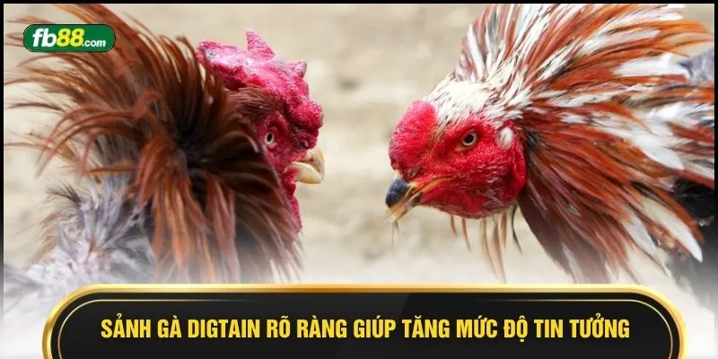 Sảnh gà Digtain rõ ràng giúp tăng mức độ tin tưởng
