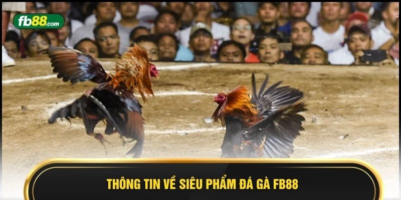 Thông tin về siêu phẩm đá gà FB88