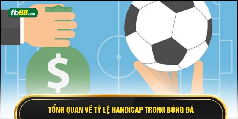 Tổng quan về tỷ lệ handicap trong bóng đá