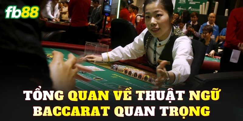 Tổng quan về thuật ngữ Baccarat quan trọng