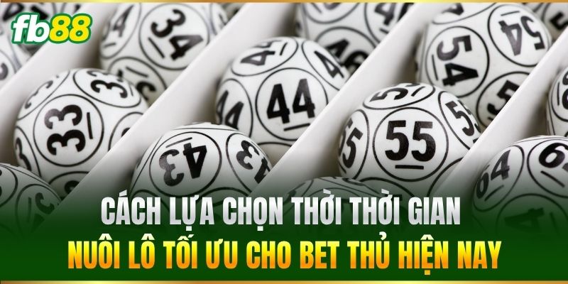 Cách lựa chọn thời thời gian nuôi lô tối ưu cho bet thủ hiện nay