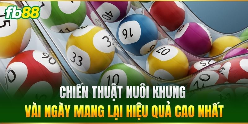 Chiến thuật nuôi khung vài ngày mang lại hiệu quả cao nhất