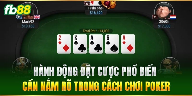 Hành động đặt cược phổ biến cần nắm rõ trong Cách Chơi Poker