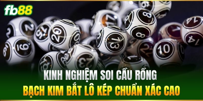 Kinh nghiệm soi cầu rồng bạch kim bắt Lô Kép chuẩn xác cao