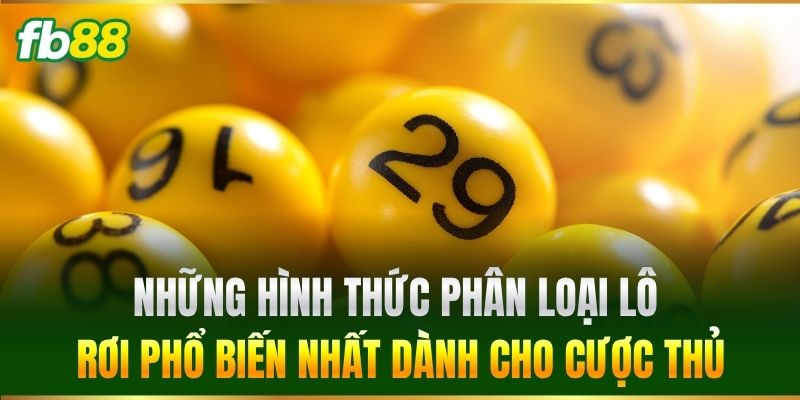 Những hình thức phân loại phổ biến nhất dành cho cược thủ