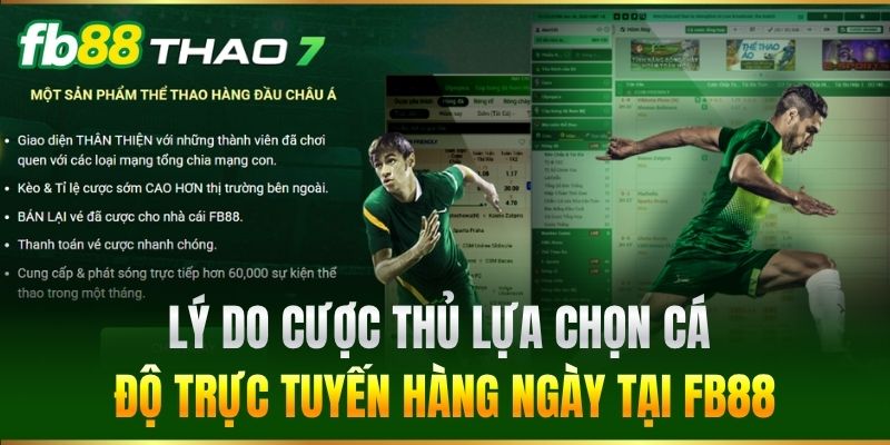 Lý do cược thủ lựa chọn cá độ trực tuyến hàng ngày