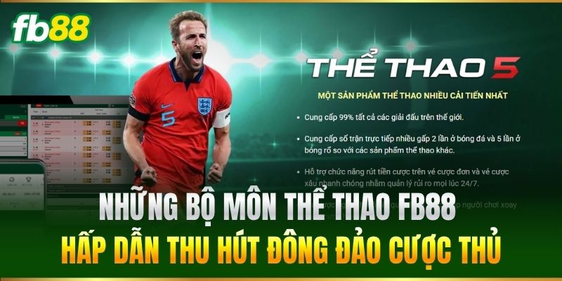 Những bộ môn thể thao hấp dẫn thu hút đông đảo cược thủ